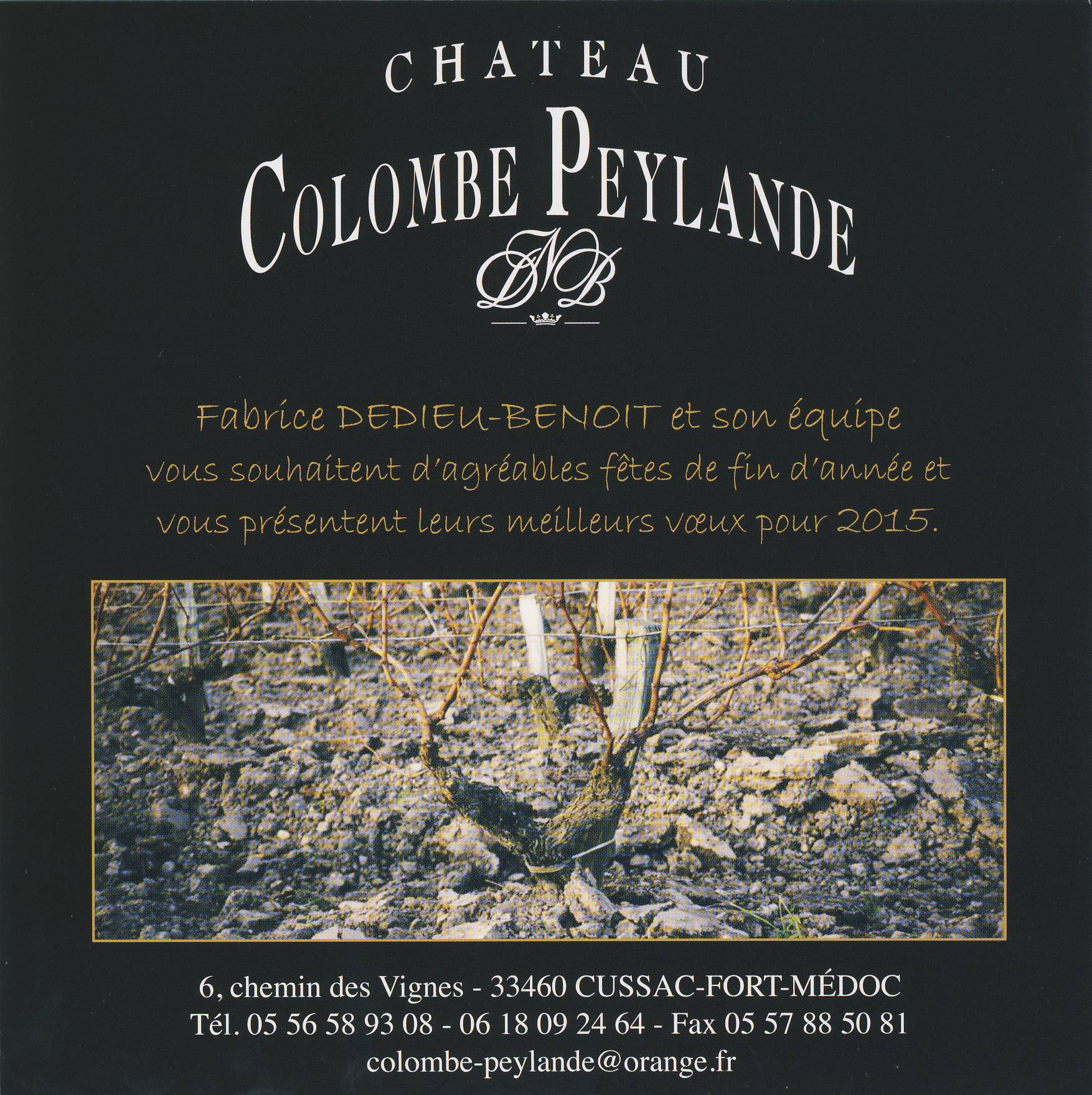 Vœux 2015 - Château Le Chemin de Colombe