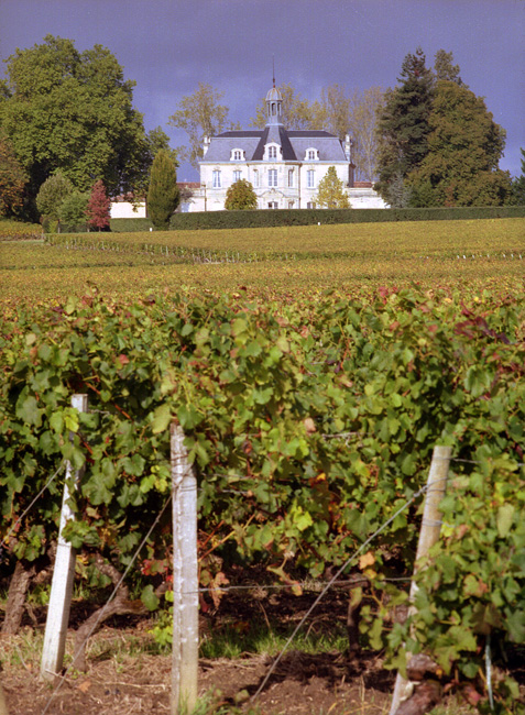 Chateau Chemin Royal - Vignes