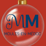 Boule Noël Logo BLEU MM png