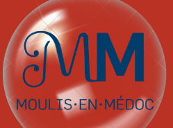 Boule Noël Logo BLEU MM png